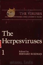 THE HERPESVIRUSES 1   1982  PDF电子版封面    BERNARD ROIZMAN 