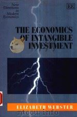 THE ECONOMICS OF INTANGIBLE INVESTMENT   1999  PDF电子版封面  1858988586  ELIZABETH WEBSTER 