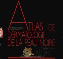 ATLAS DE DERMATOLOGIE DE LA PEAU NOIRE   1982  PDF电子版封面    THEODORE ROSEN 