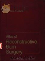 ATLAS OF RECONSTRUCTIVE BURN SURGERY   1981  PDF电子版封面    ROGER E.SALISB 