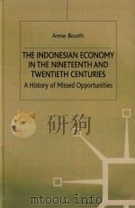 THE INDONESIAN ECONOMY IN THE NINETEENTH AND TWENTIETH CENTURIES A HISTORY OF MISSED OPPORTUNITIES   1998  PDF电子版封面  9780333553091  ANNE BOOTH 