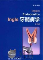 INGLE'S ENDODONTICS INGLE     PDF电子版封面    2017 12 