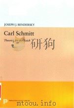 Carl Schmitt theorist for the Reich   1983  PDF电子版封面  0691613758  Joseph W. Bendersky 