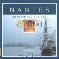 Nantes between sky and sea   1994  PDF电子版封面  2908924510   