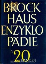 BROCKHAUS ENZYKLOPADIE ACHTER BAND H-IK 8   1969  PDF电子版封面  3756300004   