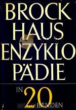 BROCKHAUS ENZYKLOPADIE ERGANZUNGEN J-Z 23   1976  PDF电子版封面  3765300004   