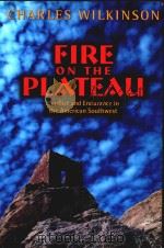 Charles Wilkinson Fire on The Plateau Conflict and Endurance in The American Southwest   1999  PDF电子版封面  1559636475  Diane Sylvain 