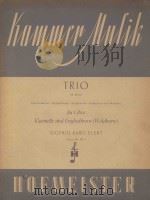 Trio opus49 Nr.1     PDF电子版封面     