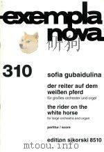 exempla nova 310 der reiter auf dem weiben pferd（ PDF版）