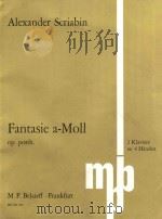 Fantasie a-Moll fur 2 klaviere zu 4 Handen op.posth   1990  PDF电子版封面     