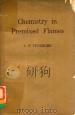 CHEMISTRY IN PREMIXED FLAMES   1964  PDF电子版封面    C.P.FENIMORE 