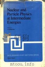 NUCLEAR AND PARTICLE PHYSICS AT INTERMEDIATE ENERGIES   1976  PDF电子版封面  0306357151  J.B.WARREN 