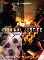 Criminal justice ethics   1991  PDF电子版封面  031326791X  compiled by Frank Schmalleger 