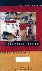 The Faber book of gay short fiction   1992  PDF电子版封面    edited by Edmund White 
