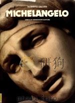 Michelanglo   1977  PDF电子版封面     