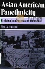 Asian American panethnicity : bridging institutions and identities（1992 PDF版）