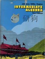 Intermediate algebra Third Edition   1993  PDF电子版封面  0534014259   