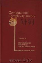 Computational complexity theory   1989  PDF电子版封面  0821801317   