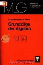 Grundzuge der Algebra   1978  PDF电子版封面  3519027542   