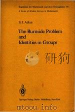 The Burnside problem and identities in groups   1979  PDF电子版封面  0387087281  Adian;S. I. 