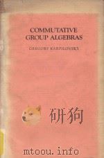 Commutative group algebras   1983  PDF电子版封面  0824719182   