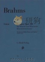 SONATEN OPUS 120 FUR KLAVIER UND KLARINETTE KLARINETTENSTIMME     PDF电子版封面     