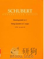 STREICHQUINTETT IN C STRING QUINTET IN C MAJOR D 956-OP.POST.163 VIOLONCELLO Ⅰ/Ⅱ VIOLINO Ⅰ/Ⅱ VIOLA（1971 PDF版）