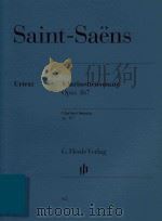 KLARINETTENSONATE OPUS 167 CLARINET SONATA OP.167 KLARINETTE IN B CLARINET IN BB     PDF电子版封面    CAMILLE SAINT-SAENS PETER JOST 