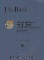 DREI GAMBENSONATEN BWV 1027-1029 AUSGABE FUR VIOLA UND CEMBALO THREE GAMBA SONATAS BWV 1027-1029 EDI     PDF电子版封面     