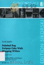 PALMLEAG RAG SWIPESY CAKE WALK WEEPING WILLOW(FRANZ-JOSEF KASTL) SOPRANBLOCK FLOTE UND KLAVIER   1993  PDF电子版封面    SCOTT JOPLIN 
