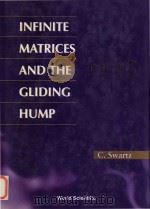 Infinite matrices and the gliding hump   1996  PDF电子版封面  9810227361  C.Swartz 