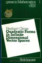 Quadratic forms in infinite dimensional vector spaces（1979 PDF版）
