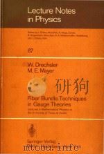 Fiber Bundle Techniques in Gauge Theories: Lectures in Mathematical Physics at the University of Tex   1977  PDF电子版封面  9783540083504;9783540372899  Dr.Wolfgang Drechsler; Dr.M.E. 