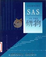 Learning SAS in the computer lab（1995 PDF版）