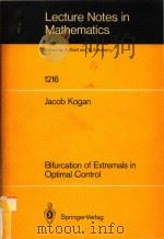 Bifurcation of extremals in optimal control   1986  PDF电子版封面  0387168184  Kogan;Jacob 