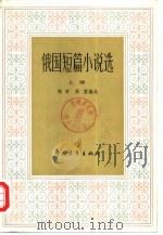 俄国短篇小说选  下   1984  PDF电子版封面  10009·809  张羽，陈燊编选 