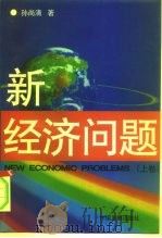 新经济问题  下（1996 PDF版）