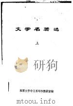 文学名著选  下     PDF电子版封面    湘潭大学中文系写作教研室编 