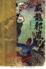威龙邪凤记  中（1991 PDF版）