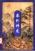 莽野神龙  下   1999  PDF电子版封面  7648401956  （台湾）云中岳著 