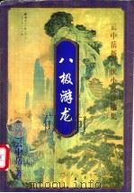 八极游龙  下   1999  PDF电子版封面  7648401928  （台湾）云中岳著 