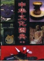 中华文化图典  中（1998 PDF版）