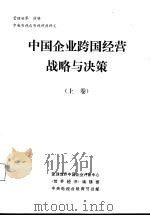 中国企业跨国经营战略与决策  下（ PDF版）