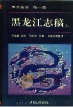 黑龙江志稿  中   1992  PDF电子版封面  7207022425  张伯英 
