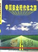 中国农业现代化之路  下   1995  PDF电子版封面  750351308X  本书编委会 