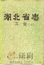 湖北省志  工业  下（1995 PDF版）