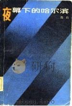 夜幕下的哈尔滨  下   1982  PDF电子版封面    陈玙 