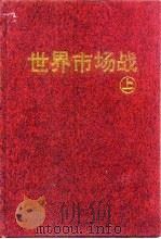 世界市场战  下   1996  PDF电子版封面  7805273480  周文志，梁世宏 