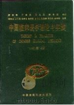 中国临床医学理论与实践  1991卷  下   1992  PDF电子版封面  7506706652  刘善慧等主编 