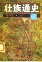 壮族通史  下（1997 PDF版）